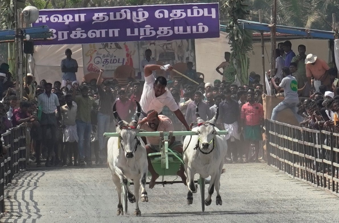 Isha yoga : ஈஷா யோகா மையத்தில் ரேக்ளா பந்தயம்; சீறி பாய்ந்த காளைகள்! முதல் பரிசு ரூ.1 லட்சம்