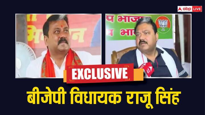 BJP MLA Raju Singh Reaction on the Meeting of Group of BJP MLAs in Bihar ANN Bihar Politics: 'वादा किया गया था हमको मंत्री बनाया जाएगा...', BJP विधायकों के गुट की बैठक पर बोले राजू सिंह