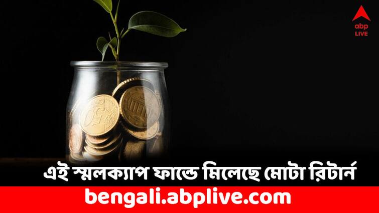 These Small Cap Funds has delivered 25 percent return in a year Small Cap Funds: ২৫ শতাংশেরও বেশি রিটার্ন মিলেছে এইসব ফান্ডে, আপনার বিনিয়োগ আছে ?