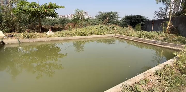 Surat Man Made Lake: seven years baby girl sink in the man made lake and died a minute in Bhestan Area, Local News Surat: કૃત્રિમ તળાવમાં બાળકી ડુબી, નહાવા પડેલી સાત વર્ષની બાળકી ઉંડાણમાં ખેંચાઇ જતા મોત
