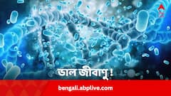শিশুদের পেটের ‘দেখভাল’ করে জীবাণুরাই ! কীভাবে?