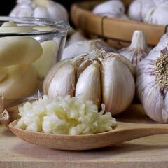 Raw Garlic: ਕਮਜ਼ੋਰ ਯਾਦਦਾਸ਼ਤ ਵਾਲਿਆਂ ਲਈ ਇਸ ਸਮੇਂ ਲੱਸਣ ਖਾਣਾ ਹੈ ਬੇਹੱਦ ਗੁਣਕਾਰੀ, ਜਾਣੋ ਹੋਰ ਵੀ ਅਨੇਕਾਂ ਫਾਇਦੇ
