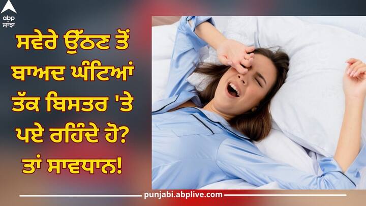 after wake up in morning you also lie on bed for hours it harm for body know from experts Wake Up In Morning: ਤੁਸੀਂ ਵੀ ਸਵੇਰੇ ਉੱਠਣ ਤੋਂ ਬਾਅਦ ਘੰਟਿਆਂ ਤੱਕ ਬਿਸਤਰ 'ਤੇ ਪਏ ਰਹਿੰਦੇ ਹੋ? ਤਾਂ ਸਾਵਧਾਨ, ਜਾਣੋ ਲਓ ਨੁਕਸਾਨ
