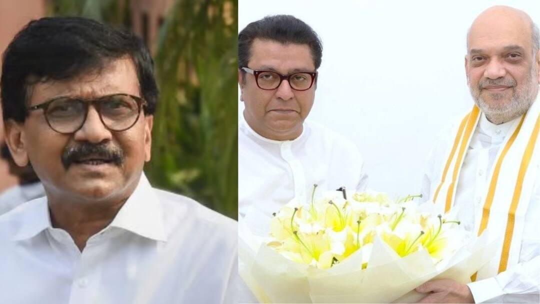 MP Sanjay Raut has criticized MNS chief Raj Thackeray After meeting Home Minister Amit Shah Raj Thackeray: 2019 चं व्यंगचित्र, मोदी-शाह यांच्या हाती दोरी; दिल्लीत भेट होताच संजय राऊतांनी राज ठाकरेंना डिवचलं!
