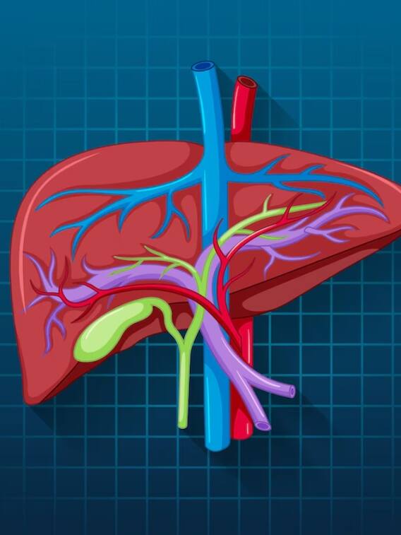 खाने की ये 5 चीजें लिवर को बना सकती हैं खोखला