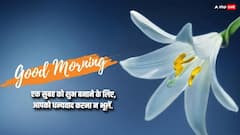 Good Morning Thoughts: आपकी सुबह इन शानदार मैसेज को पढ़कर मंगलमय हो, पढ़ें आज का सुविचार