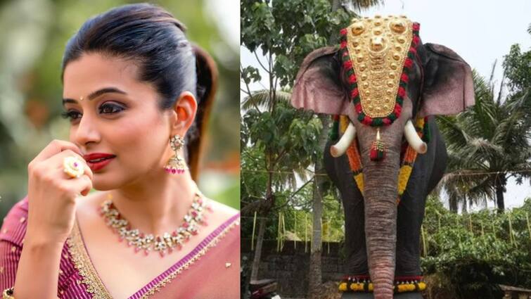 Actress priyamani with peta donates mechanical elephant to thrikkayil mahadeva temple Priyamani: துன்புறுத்தப்படும் கோயில் யானைகள்.. பிரியாமணி செய்த செயலால் நெகிழ்ந்த பக்தர்கள்!