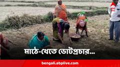 ভোটপ্রচারে মাঠে কৃষকের সঙ্গে লাঙল, ঝুড়িতে আলু কুড়োনো! মিতালী বাগের ভাইরাল ভিডিওয় হইচই