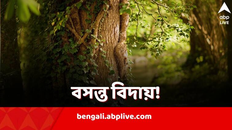 Spring is disappearing from India apparently suggests new Climate report Disappearing Spring in India: শীত যেতে না যেতেই হাজির গ্রীষ্ম, অবলুপ্তির পথে ঋতুরাজ বসন্ত, প্রমাণ নয়া গবেষণায়