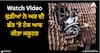 Viral Video: ਕੁੜੀਆਂ ਨੇ ਘਰ ਦੀ ਛੱਤ 'ਤੇ ਟੇਕ ਆਫ ਕੀਤਾ ਸਕੂਟਰ, ਲੋਕਾਂ ਨੇ ਦੇਖ ਕੇ ਕਿਹਾ- ਉਹ ਸਕੂਟੀ ਚਲਾ ਰਹੀ ਸੀ ਜਾਂ ਹੈਲੀਕਾਪਟਰ?