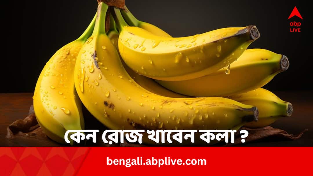Why One Should Eat Banana Everyday Know In Bengali Banana Benefits: হার্টের সঙ্গেই চাঙ্গা রাখে পেট, রোজ কলা খেলে আর কী উপকার?
