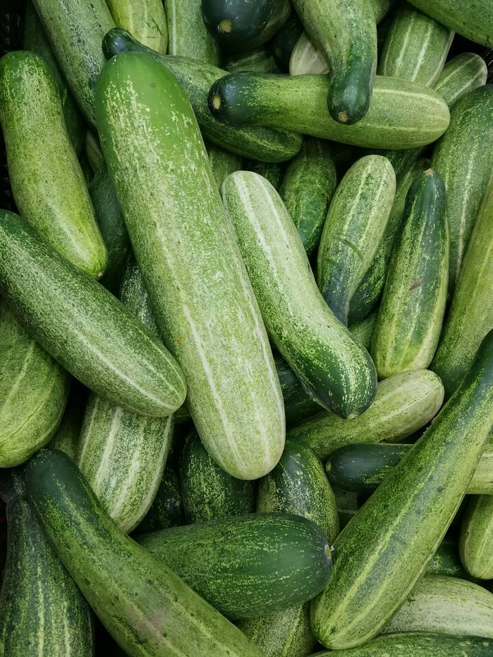Eating cucumber in summer keeps both the stomach and body cool.  Many nutrients are present in cucumber juice.  Drinking its juice keeps the body hydrated, digestive problems go away and weight is also controlled.  Not only this, drinking cucumber juice also brings glow to the skin.  (Photo Credit: Pexels)