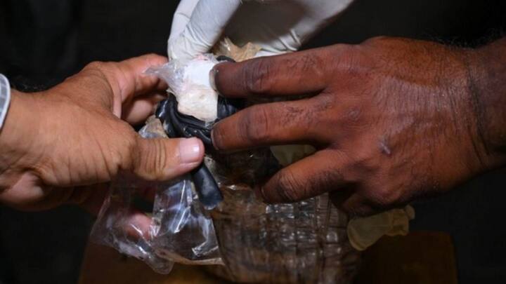 DRI Seized Cocaine Worth of 100 Crore In Mumbai Arrested Thailand and Indonesia Women 100 करोड़ की कोकेन और 2 विदेशी महिलाएं... जानें DRI के एक्शन से कैसे फेल हुआ इंटरनेशनल रैकेट का प्लान