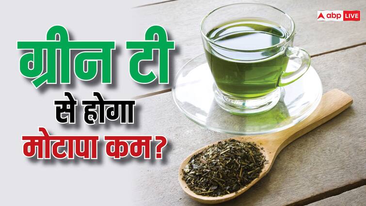 drinking green tea will reduce obesity know its benefits and drawbacks क्या ग्रीन टी पीने से होगा मोटापा कम? अगर आप भी पीते हैं तो पहले इसकी सच्चाई जान लीजिए