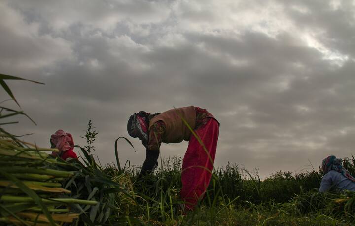 मराठवाड़ा में आज 19 मार्च को गरज और बिजली के साथ छिटपुट हल्की बारिश और 19-20 मार्च के दौरान ओलावृष्टि होने की संभावना है.