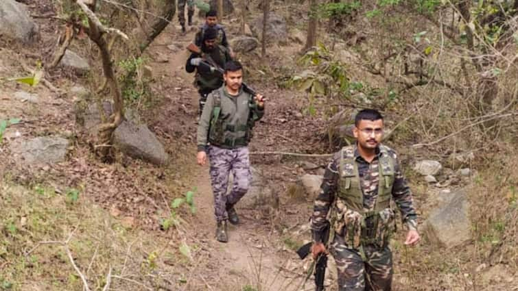 4 Naxalites Killed In Encounter With Maharashtra Police In Gadchiroli