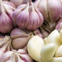 Raw Garlic: ਕਮਜ਼ੋਰ ਯਾਦਦਾਸ਼ਤ ਵਾਲਿਆਂ ਲਈ ਇਸ ਸਮੇਂ ਲੱਸਣ ਖਾਣਾ ਹੈ ਬੇਹੱਦ ਗੁਣਕਾਰੀ, ਜਾਣੋ ਹੋਰ ਵੀ ਅਨੇਕਾਂ ਫਾਇਦੇ