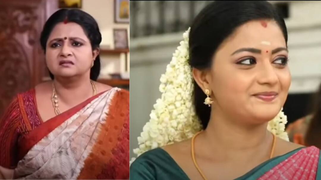 Siragadikka Aasai :ரோகிணிக்கு ஷாக் கொடுக்கும் விஜயா.. கெத்து காட்டும் மீனா..சிறகடிக்க ஆசையில் இன்று !