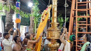 Palani Temple: பங்குனி உத்திரத் திருவிழா; மூலவருக்கு  கங்கை, காவிரி புனித தீர்த்தங்கள் கொண்டுவந்து அபிஷேகம்