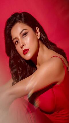 Shehnaaz Gill : 'शहनाझ' चा रेड हॉट लूक, पाहा फोटो...