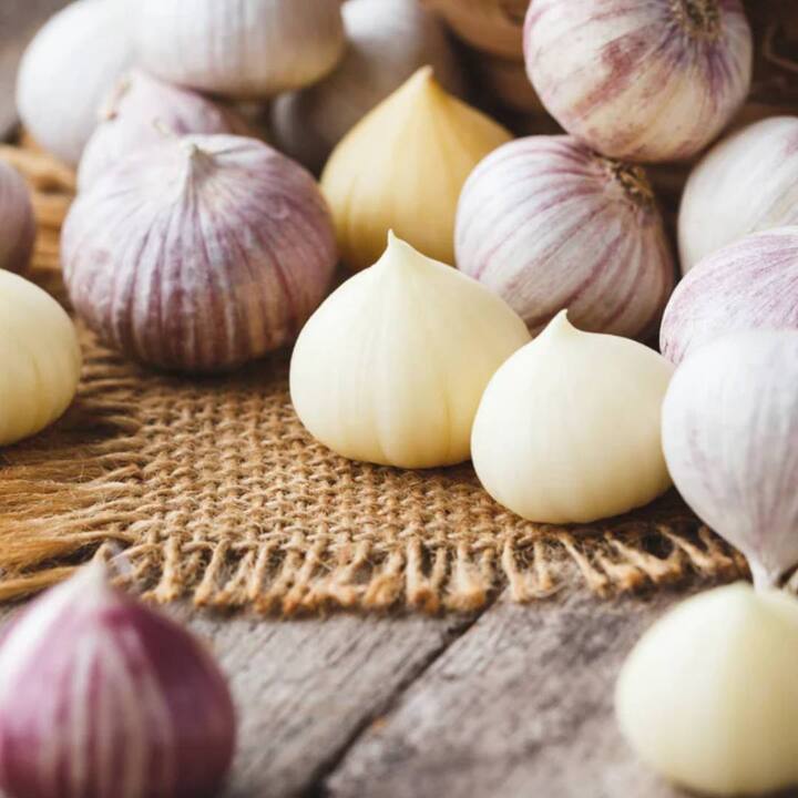 ਜੇਕਰ ਰਾਤ ਨੂੰ ਸੌਣ ਤੋਂ ਪਹਿਲਾਂ ਲਸਣ ਦਾ ਸੇਵਨ ਕੀਤਾ ਜਾਵੇ ਤਾਂ ਇਸ ਨਾਲ ਭਾਰ ਘੱਟ ਹੋ ਸਕਦਾ ਹੈ। ਜੀ ਹਾਂ, ਇਸ ਵਿੱਚ ਪਾਏ ਜਾਣ ਵਾਲੇ ਮੋਟਾਪੇ ਵਿਰੋਧੀ ਗੁਣ ਸਰੀਰ ਤੋਂ ਵਾਧੂ ਚਰਬੀ ਨੂੰ ਹਟਾਉਣ ਵਿੱਚ ਲਾਭਦਾਇਕ ਹਨ। ਇਸ ਦੇ ਨਾਲ ਹੀ ਸਰੀਰ 'ਚ ਚਰਬੀ ਜਮ੍ਹਾ ਹੋਣ ਦੀ ਸਮੱਸਿਆ ਵੀ ਇਸ ਦੇ ਸੇਵਨ ਨਾਲ ਦੂਰ ਹੁੰਦੀ ਹੈ।