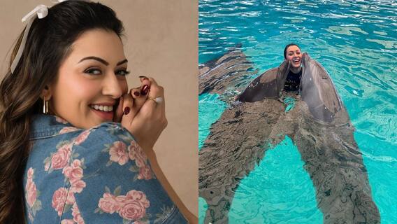 Hansika Photos : டால்ஃபின் மீன்களுடன் கொஞ்சி விளையாடும் நடிகை ஹன்சிகா! Hansika Photos : டால்ஃபின் மீன்களுடன் கொஞ்சி விளையாடும் நடிகை ஹன்சிகா!
