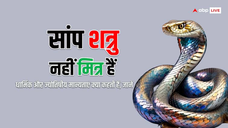 सांपों से उलझना पड़ता है हमेशा भारी, हिंदू धर्म के 5 नागदेवताओं की है ये पूरी कहानी snakes are worshipped know significance in Hindu Dharm make Kaal Sarp dosh abpp सांपों से उलझना पड़ता है हमेशा भारी, हिंदू धर्म के 5 नागदेवताओं की है ये पूरी कहानी
