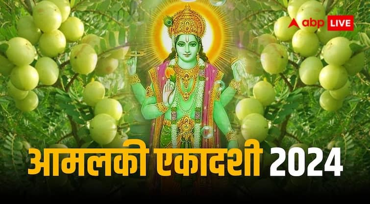 Amalaki Ekadashi 2024 What to do on March Ekadashi Know lord Vishnu puja vidhi shubh muhurat Amalaki Ekadashi 2024: आमलकी एकादशी व्रत में क्या करते हैं, जानें पूजा विधि, शुभ मुहूर्त