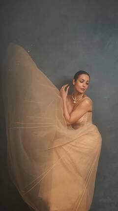 Malaika Arora : 'मलायका' च्या अदांनी चाहते घायाळ!