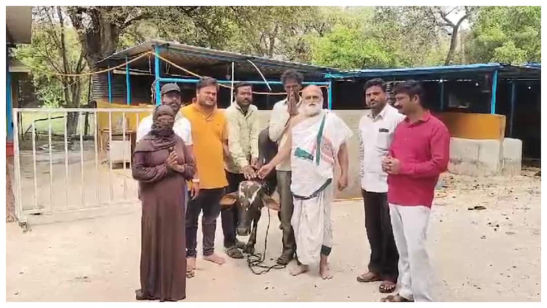 Chilkoor Balaji Temple priest who gifted a bull to a Muslim farmer Chilkoor Balaji Temple Priest: ముస్లిం రైతుకు ఎద్దును బహుమతిగా ఇచ్చిన చిలుకూరు బాలాజీ టెంపుల్‌ పూజారి