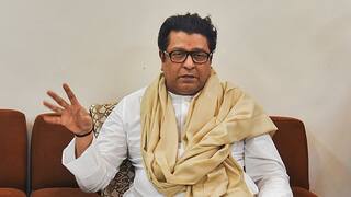 Maharashtra Lok Sabha:  ગઠબંધનની ચર્ચા વચ્ચે બીજેપીએ રાજ ઠાકરેને આપ્યો મોટો ઝટકો, MNSમાં મોટું ગાબડું