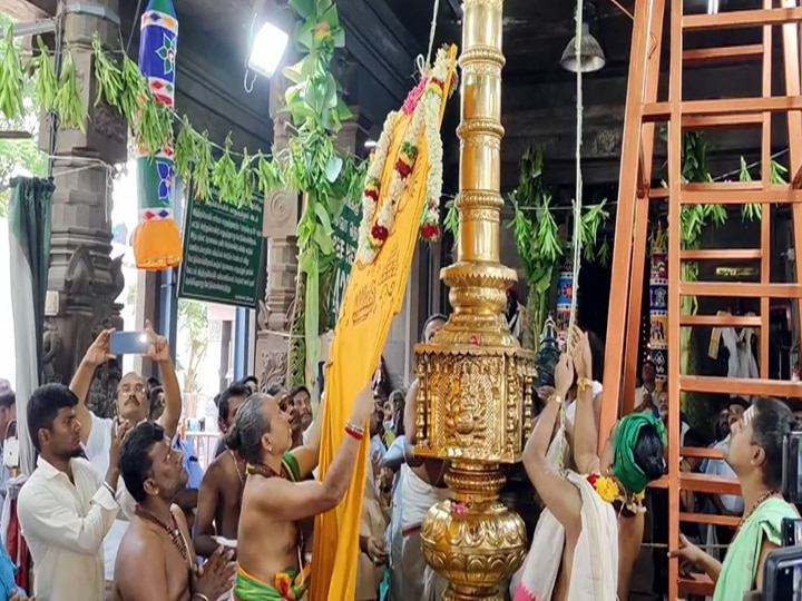 Palani Temple: பங்குனி உத்திரத் திருவிழா; மூலவருக்கு  கங்கை, காவிரி புனித தீர்த்தங்கள் கொண்டுவந்து அபிஷேகம்