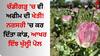 Chanigarh News: ਚੰਡੀਗੜ੍ਹ 'ਚ ਵੀ ਅਫੀਮ ਦੀ ਖੇਤੀ! ਨਰਸਰੀ 'ਚ ਕਰ ਦਿੱਤਾ ਕਾਂਡ, ਆਖਰ ਇੰਝ ਖੁੱਲ੍ਹੀ ਪੋਲ