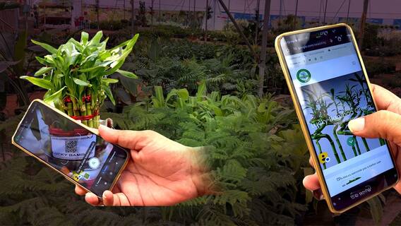 QR Codes For Nursery Plants | మొక్కల డేటాను డిజిటలైజ్ చేస్తున్న తిరుపతి నర్సరీ రైతు | ABP Desam