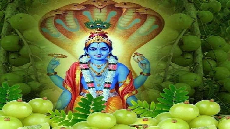 Amalaki Ekadashi 2024 know importance of this day and puja vidhi and shubh muhurat Amalaki Ekadashi 2024: આમલકી એકાદશી વ્રતમાં શું કરવામાં આવે છે, જાણો પૂજા વિધિ, શુભ મુહૂર્ત