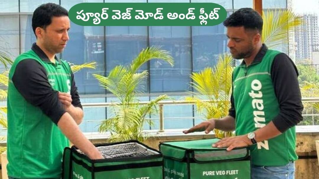 Zomato: జొమాటో స్పెషల్ సర్వీస్, శాఖాహారాన్ని సంకోచం లేకుండా ఆర్డర్ చేయొచ్చు! Zomato new service for veg customers pure veg fleet with green color theme Zomato: జొమాటో స్పెషల్ సర్వీస్, శాఖాహారాన్ని సంకోచం లేకుండా ఆర్డర్ చేయొచ్చు!
