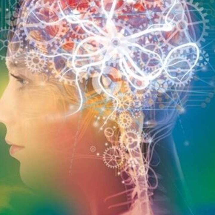 ਜਦੋਂ ਵੀ ਅਸੀਂ ਕੁਝ ਸਿੱਖਦੇ ਹਾਂ, ਤਾਂ ਸਭ ਤੋਂ ਪਹਿਲਾਂ ਸਾਡੇ ਦਿਮਾਗ ਵਿੱਚ ਇਹ ਵਿਚਾਰ ਆਉਂਦਾ ਹੈ  ਕਿ ਅਸੀਂ ਇਸਨੂੰ ਅਸਲ ਜ਼ਿੰਦਗੀ ਵਿੱਚ ਕਿਵੇਂ ਲਾਗੂ ਕਰ ਸਕਦੇ ਹਾਂ। ਮਨੋਵਿਗਿਆਨਕ ਤੱਥ ਇਹ ਵੀ ਕਹਿੰਦਾ ਹੈ ਕਿ ਜਦੋਂ ਵੀ ਅਸੀਂ ਕੁਝ ਕਰਨਾ ਜਾਂ ਸਿੱਖਣਾ ਸ਼ੁਰੂ ਕਰਦੇ ਹਾਂ, ਤਾਂ ਅਸੀਂ ਉਸ ਦੇ ਤੁਰੰਤ ਨਤੀਜੇ ਜਾਣਨ ਲਈ ਉਤਸੁਕ ਹੁੰਦੇ ਹਾਂ ਅਤੇ ਇੱਕ ਵਾਰ ਜਦੋਂ ਸਾਨੂੰ ਪਤਾ ਲੱਗ ਜਾਂਦਾ ਹੈ, ਅਸੀਂ ਉਸ ਚੀਜ਼ ਨੂੰ ਸਿੱਖਣ ਲਈ ਦੁੱਗਣੀ ਮਿਹਨਤ ਕਰਦੇ ਹਾਂ।