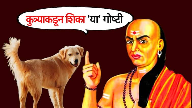 Chanakya Niti Learn Four Things From Dog to get Success Life management Mantra Marathi News Chanakya Niti :  आयुष्य होईल लय भारी! चाणक्य सांगतात, कुत्र्याकडून शिका या बहुमूल्य गोष्टी; जीवनात कधीच राहणार नाही दु:खी
