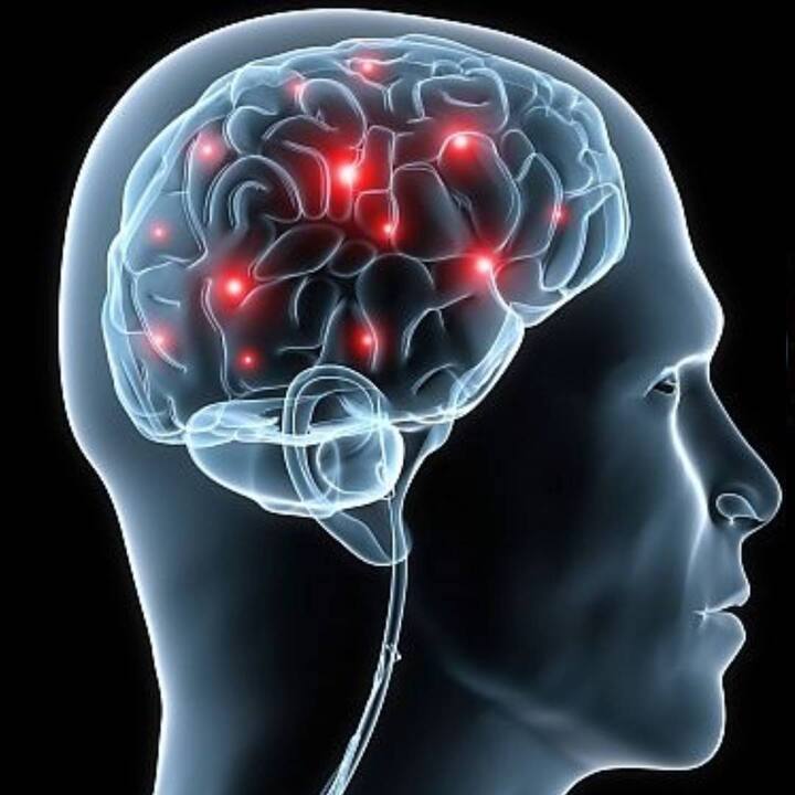 ਮਨੋਵਿਗਿਆਨਕ ਤੱਥ ਇਹ ਵੀ ਕਹਿੰਦਾ ਹੈ ਕਿ ਜਦੋਂ ਕੋਈ ਵਿਅਕਤੀ ਇਕੱਲਾ ਸਿੱਖਦਾ ਹੈ, ਤਾਂ ਇਸਦਾ ਓਨਾ ਅਸਰ ਨਹੀਂ ਹੁੰਦਾ। ਪਰ ਜਦੋਂ ਕੋਈ ਵਿਅਕਤੀ ਕੁਝ ਸਿੱਖਦਾ ਹੈ ਜਾਂ ਕਿਸੇ ਸਮੂਹ ਵਿੱਚ ਸਿਖਲਾਈ ਲੈਂਦਾ ਹੈ, ਤਾਂ ਇਹ ਨਾ ਸਿਰਫ਼ ਉਸ ਵਿੱਚ ਮੁਕਾਬਲੇ ਦੀ ਭਾਵਨਾ ਪੈਦਾ ਕਰਦਾ ਹੈ, ਸਗੋਂ ਉਹ ਦੂਜਿਆਂ ਨਾਲੋਂ ਵਧੀਆ ਕਰਨ ਲਈ ਵੀ ਪ੍ਰੇਰਿਤ ਹੁੰਦਾ ਹੈ। ਇਸ ਲਈ, ਮਨੋਵਿਗਿਆਨ ਵਿੱਚ ਸਮੂਹਿਕ ਸਿੱਖਿਆ ਨੂੰ ਇੱਕ ਮਹੱਤਵਪੂਰਨ ਸਥਾਨ ਦਿੱਤਾ ਗਿਆ ਹੈ।