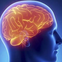 Psychological Facts: ਤਾਰੀਫ਼ ਮਿਲਣ 'ਤੇ ਸਿੱਖਣ ਦੀ ਇੱਛਾ ਦੁੱਗਣੀ ਹੋ ਜਾਵੇਗੀ, ਇਹ ਹਨ ਦਿਲਚਸਪ ਮਨੋਵਿਗਿਆਨਕ ਤੱਥ ਜੋ ਤੁਹਾਨੂੰ ਹੈਰਾਨ ਕਰ ਦੇਣਗੇ