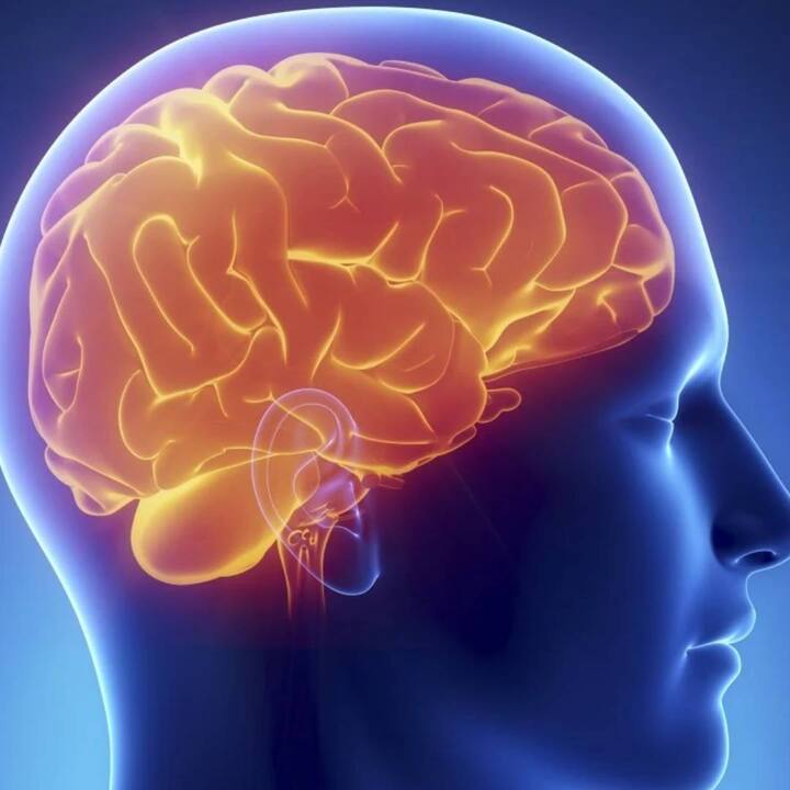 ਇਸ ਲਈ ਅੱਜ ਅਸੀਂ ਤੁਹਾਨੂੰ ਅਜਿਹੇ ਪੰਜ ਮਨੋਵਿਗਿਆਨਕ ਤੱਥਾਂ ਬਾਰੇ ਦੱਸਦੇ ਹਾਂ ਜੋ ਤੁਹਾਡੀ ਸਿੱਖਣ ਦੀ ਇੱਛਾ ਨੂੰ ਦੁੱਗਣਾ ਕਰ ਸਕਦੇ ਹਨ ਅਤੇ ਤੁਹਾਡੇ ਵਿੱਚ ਸਕਾਰਾਤਮਕਤਾ ਲਿਆ ਸਕਦੇ ਹਨ।