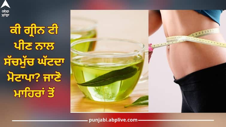 drinking green tea will reduce obesity know pros and cons health news Green tea for weight loss: ਕੀ ਗ੍ਰੀਨ ਟੀ ਪੀਣ ਨਾਲ ਸੱਚਮੁੱਚ ਘੱਟਦਾ ਮੋਟਾਪਾ? ਜਾਣੋ ਮਾਹਿਰਾਂ ਤੋਂ ਇਸ ਦੇ ਫਾਇਦੇ ਤੇ ਨੁਕਸਾਨ