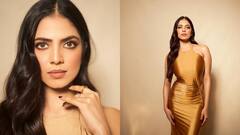 Malavika Mohanan Photos : தங்க தாமரை மகளே..மினுமினுக்கும் மாளவிகா மோகனனின் க்ளிக்ஸ்!