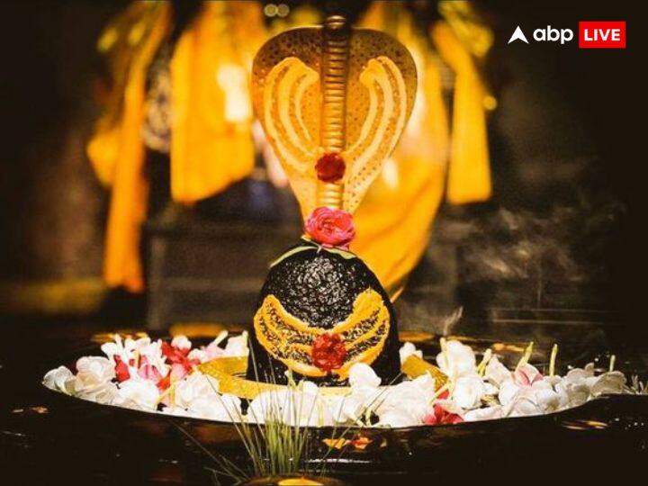 प्रदोष का व्रत शिव जी का आशीर्वाद पाने के लिए किया जाता है. इस व्रत को पूरे श्रृद्धा भाव के साथ करें. इस दिन त्रयोदशी तिथि 22 मार्च को सुबह 4.44 मिनट पर शुरू हो जाएगी जो 23 मार्च को सुबह 7.17 मिनट तक चलेगी.