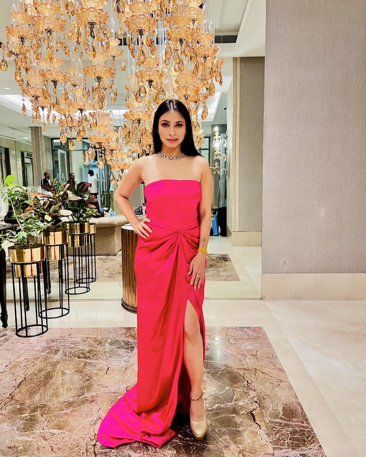 तिचे वेगवेगळे लुक्स नेहमीच व्हायरल होत असतात, या पिंक ड्रेस मध्ये तनिषा सुंदर दिसतेय.