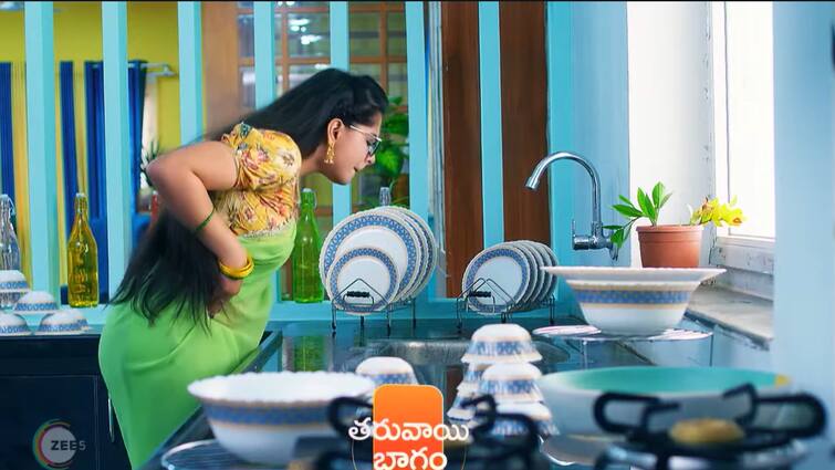 seethe ramudi katnam serial today march 20th episode written update in telugu Seethe Ramudi Katnam Serial Today March 20th: 'సీతే రాముడి కట్నం' సీరియల్: అదిరిపోయిన ట్విస్ట్‌.. సీత ప్రెగ్నెంట్‌, కళ్లు తిరిగి పడిపోయిన మహాలక్ష్మి!