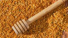 Health Tips: गर्मियों में रोज मेथी का पानी पीना सही है? जानिए इसके फायदे और नुकसान