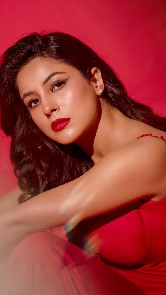 पराठे खाकर शहनाज कैसे हुईं फैट टू फिट