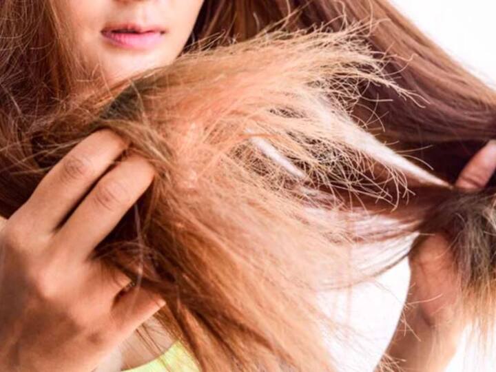 Hair Health lifestyle marathi news Dry hair due to changing weather remedies is in kitchen Hair Health : ये रेशमी जुल्फे...बदलत्या हवामानामुळे केस Dry झाले? लांब कशाला.. स्वयंपाकघरातचं आहे रामबाण उपाय 