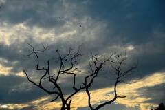 Weather Update Today: યૂપી, ઝારખંડ સહિત આ રાજ્યમાં ભારે પવન સાથે  થશે વરસાદ, હવામાન વિભાગે આપ્યું એલર્ટ